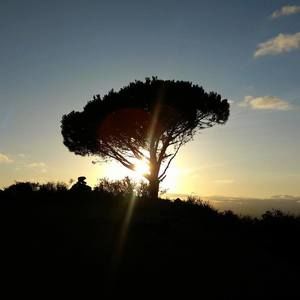 Meet your Posher, Rickesh